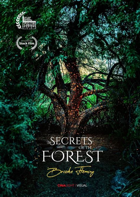 Secrets Of The Forest NetBet